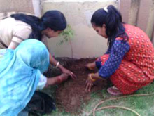 World Environment Day